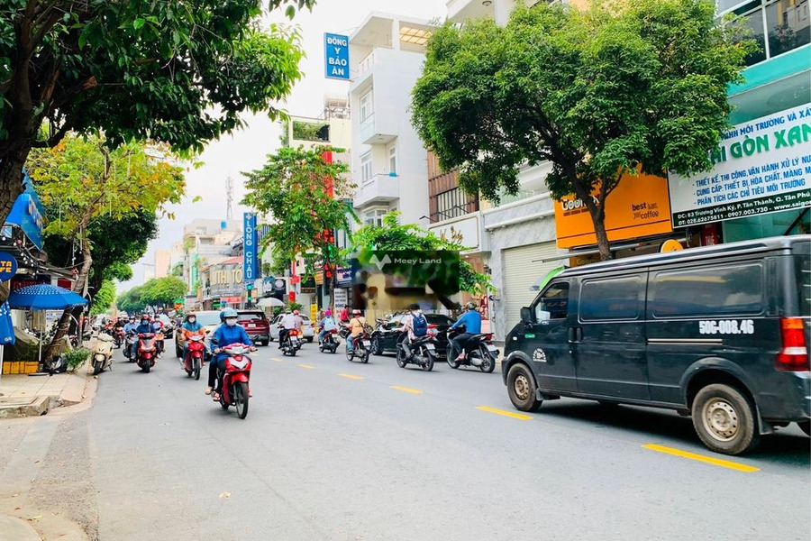 Vị trí ở Tân Thành, Hồ Chí Minh cho thuê nhà thuê ngay với giá chốt nhanh 40 triệu/tháng-01