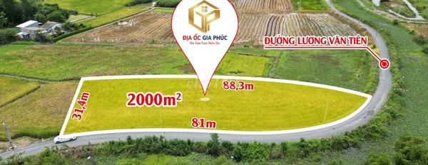 Bán đất 8.95 tỷ Mỹ Lộc, Long An diện tích mặt tiền 2000m2-03