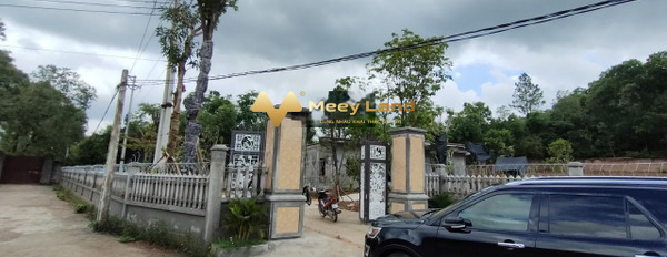 Giá cực rẻ 16 tỷ bán đất với dt 16000 m2 vị trí mặt tiền nằm trên Xã Ngọc Thanh, Phúc Yên-03