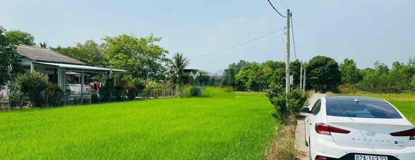 565 triệu bán đất Diện tích nền 133m2 vị trí đặt ngay Nguyễn Văn Đường, Tân Trụ-02