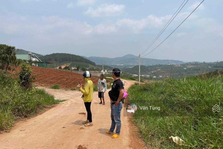 Giá bán thương lượng 1.1 tỷ bán đất Diện tích nền 1300m2 vị trí đẹp ngay ở Nam Hà, Lâm Đồng-01