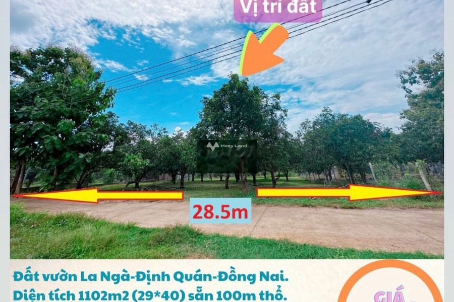 Quốc Lộ 20, La Ngà bán đất giá đề xuất chỉ 1.15 tỷ diện tích tổng 1100m2-01