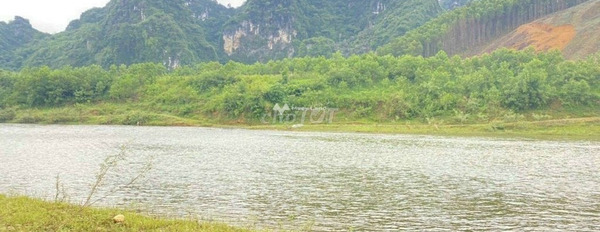 Có diện tích chuẩn 2800m2 bán đất giá bán siêu rẻ 2 tỷ-02