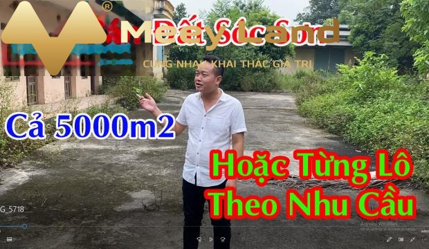 Giá bán công khai chỉ 30 tỷ, bán đất có một diện tích là 5000 m2 ngay ở Xã Minh Trí, Huyện Sóc Sơn giấy tờ nhanh chóng-01