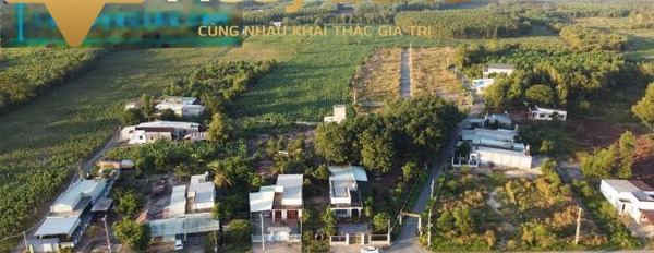 Khoảng 1.7 tỷ bán đất Tổng diện tích 1000m2 vị trí đặt ngay trên Đường Phước Bình, Tỉnh Đồng Nai-02
