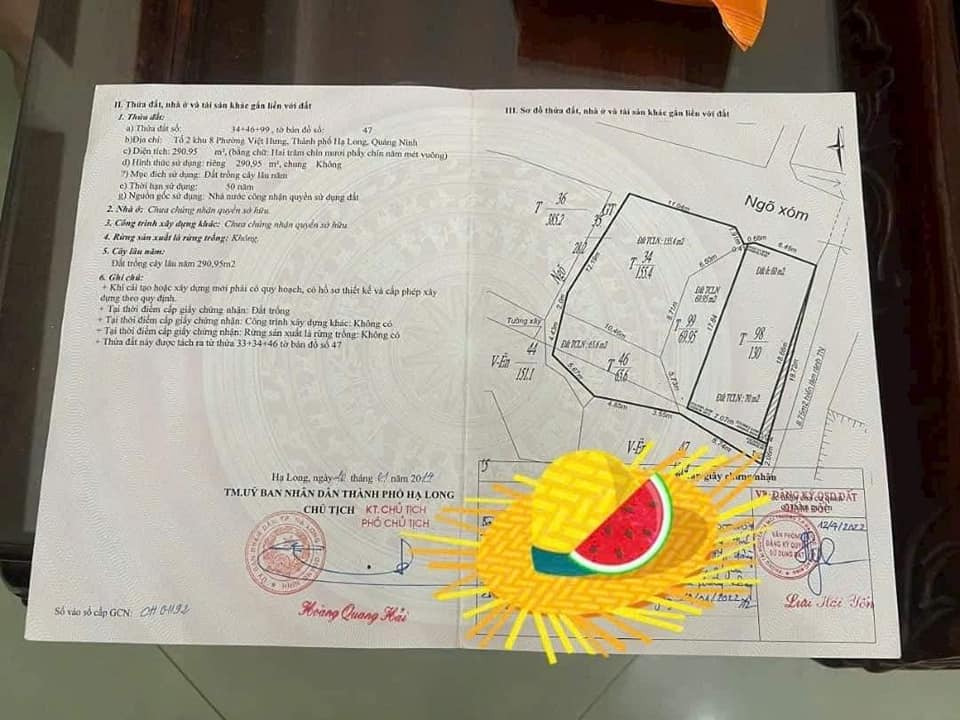 Bán đất quận Long Biên thành phố Hà Nội giá 0.3 tỷ-2