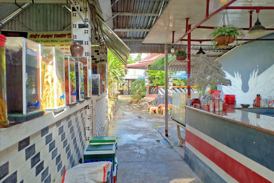 Cần bán gấp nhà và đất đang kinh doanh nhà hàng, cà phê nằm trên tuyến lộ xe buýt U Minh - Khánh Hội, thuộc Khóm 3, thị trấn U Minh-01