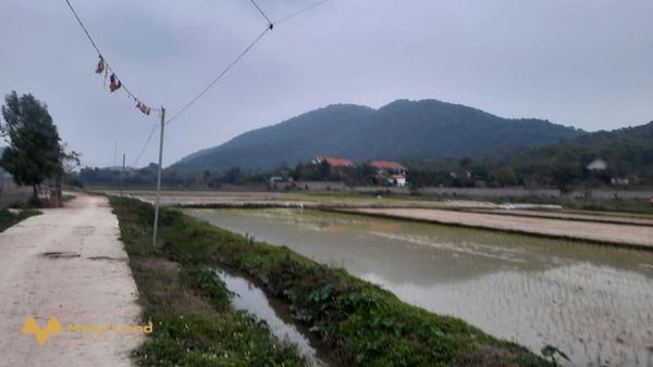 Bán đất chính chủ Ninh Môn, Hiền Ninh, Sóc Sơn, Hà Nội