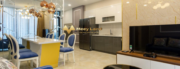 Cho thuê căn hộ có dt sàn 93m2 vị trí đặt ở tại Phường Tân Sơn Nhì, Hồ Chí Minh giá hợp lý chỉ 10.5 triệu/tháng-02