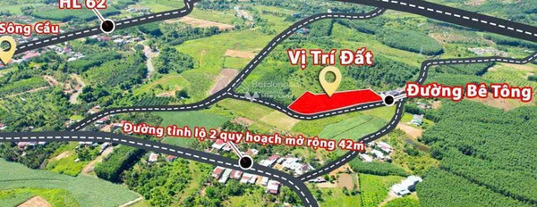 Bán đất 990 triệu Sông Cầu, Khánh Vĩnh diện tích dài 364m2-03