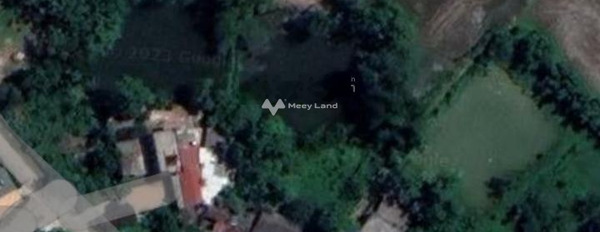 Bán đất tại Hồ Chí Minh, Thanh Cao. Diện tích 2262m2-03