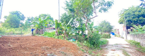 Bán lô đất 100m2 gần đường Tố Hữu Thịnh Đán, Thái Nguyên giá hơn 1 tỷ-02
