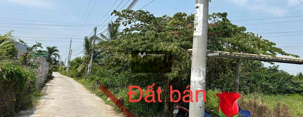 Ở Đường 827, Châu Thành bán đất 650 triệu có một diện tích là 150m2-02