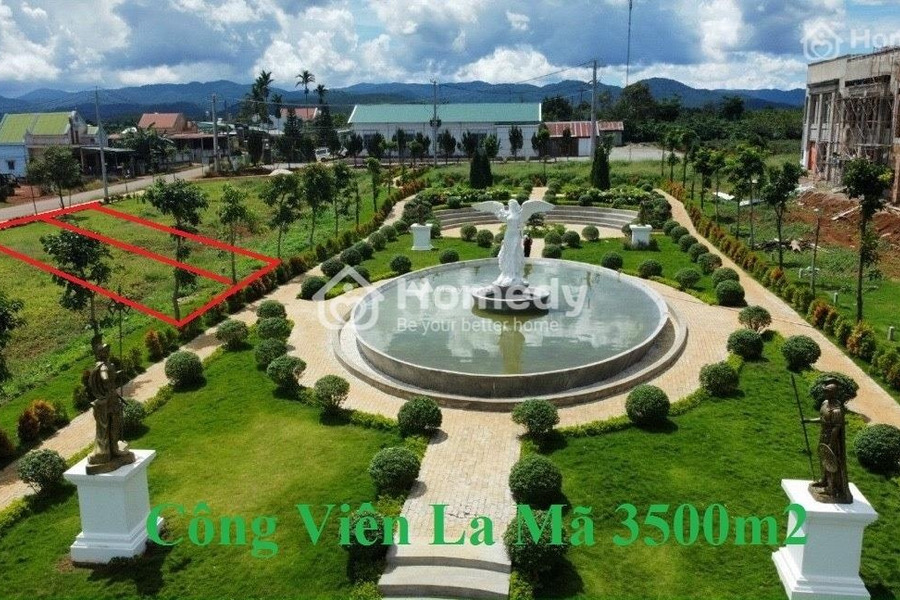 Vị trí thuận lợi tọa lạc trên Nguyễn Văn Cừ, Lâm Đồng bán đất giá hạt dẻ chỉ 1.25 tỷ diện tích thực tế 138m2-01