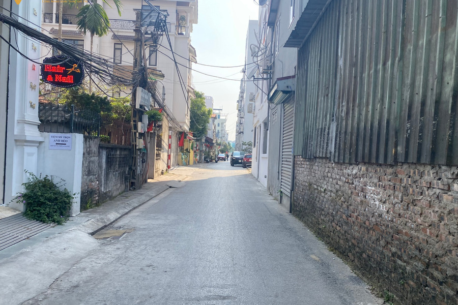 Chính chủ rất cần tiền hạ giá bán nhanh mảnh đất đường ô tô tại tổ 8 phường Việt Hưng, Long Biên-01