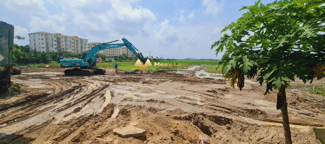 Cần kinh doanh bán đất Huyện Yên Phong, Tỉnh Bắc Ninh có dt thực 115 m2