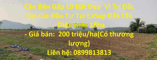 3.6 tỷ bán đất có diện tích thực là 180000m2 vị trí đẹp tọa lạc ngay Ea Bung, Đắk Lắk-03