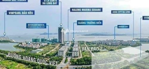 Ở Hùng Thắng, Quảng Ninh bán chung cư bán ngay với giá siêu rẻ chỉ 300 triệu cảm ơn bạn đã đọc tin-03