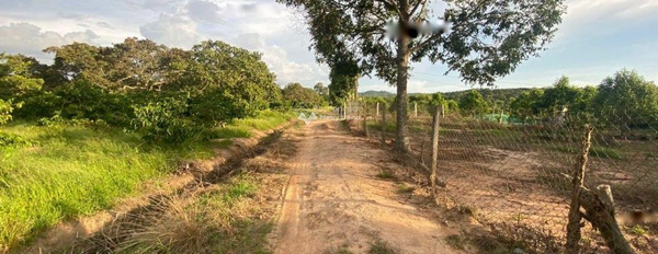 Khoảng 1 tỷ bán đất toàn bộ khu vực có diện tích 10m2 vị trí đặt ở tại Ea Kar, Đắk Lắk-03