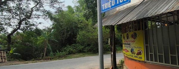 Bán đất thành phố Huế, tỉnh Thừa Thiên Huế giá 1,5 tỷ-02
