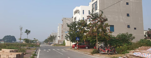 Cần bán đất thành phố Bắc Ninh, Bắc Ninh, giá 4 tỷ-03