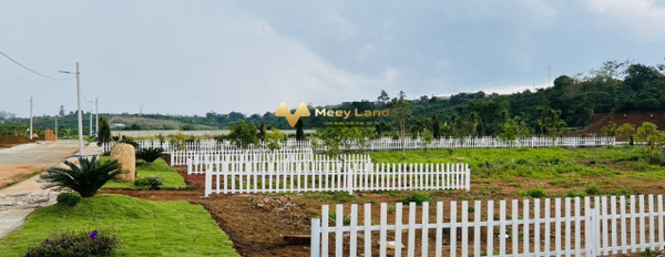 Bán đất 176m2 vị trí tốt đặt nằm ngay Lộc Quảng, Lâm Đồng-02