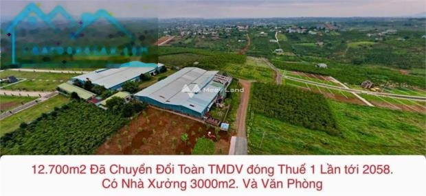 Bán ngay với giá rẻ chỉ 55 tỷ cần bán kho bãi vị trí nằm ở Bảo Lộc, Lâm Đồng diện tích thực tế 17000m2 hỗ trợ pháp lý-01