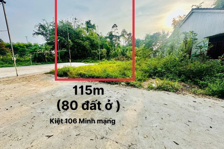 Mua bán đất thành phố Huế tỉnh Thừa Thiên Huế, giá 1,1 tỷ-01