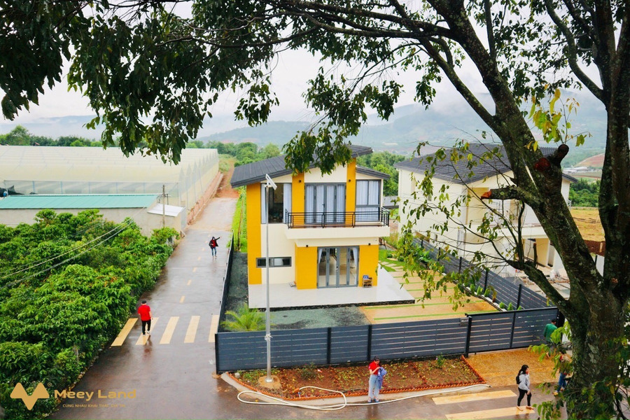 Mở bán đất nền đã có sổ biệt thự nhà phố vườn Eden Hills tại Lâm Đồng Đà Lạt-01
