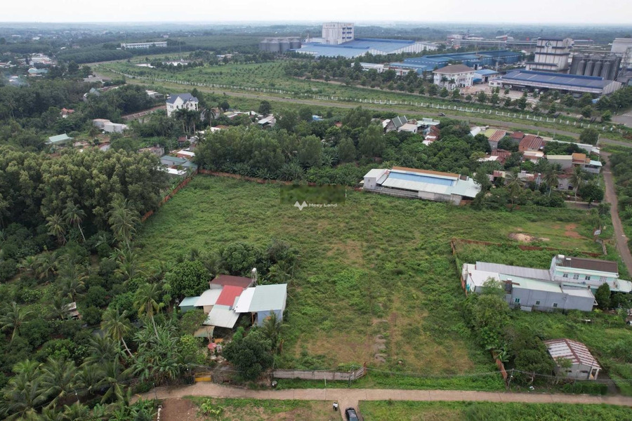 Vị trí ngay tại Dầu Giây, Đồng Nai bán đất giá bán mua ngay từ 980 triệu diện tích rộng là 100m2-01