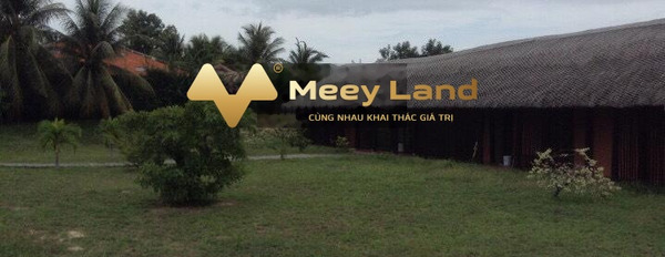 Ninh Hải, Ninh Hòa bán đất giá tốt nhất chỉ 162.5 tỷ, hướng Đông có dt thực là 6500 m2-02