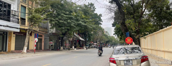 Cần bán đất thành phố Bắc Ninh, Bắc Ninh, giá 3 tỷ-02