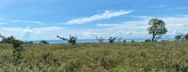 Hòa Thắng-Hòa Phú, Bình Thuận bán đất giá đề xuất từ 900 triệu diện tích thực dài 10000m2-02