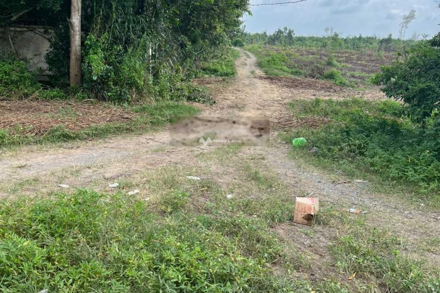 Phước Khánh, Nhơn Trạch bán đất giá bán rẻ bất ngờ chỉ 1.61 triệu với diện tích khoảng 3.82m2-01