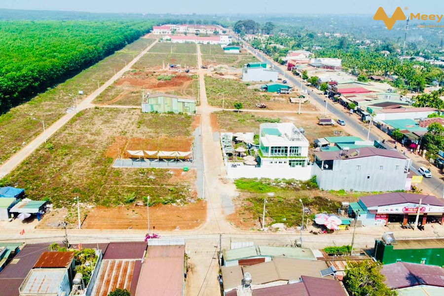 Bán đất chính chủ 10 lô đất chợ Phú Lộc - Krông Năng giá sỉ-01