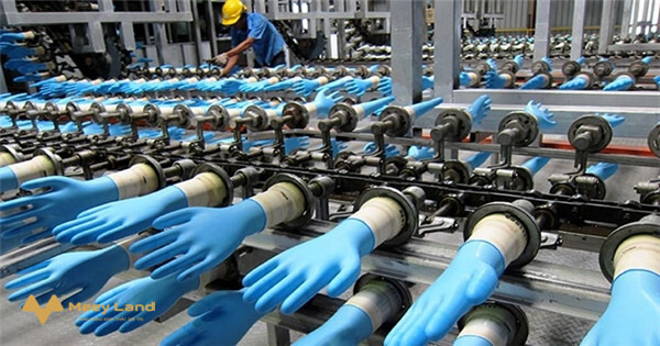 Bán, chuyển nhượng dự án nhà xưởng đang sản xuất găng tay trong tại tỉnh Bình Phước-01