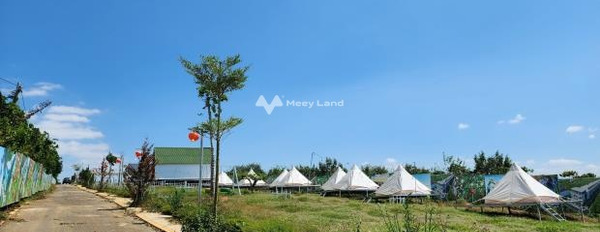 Bán đất 900 triệu Lộc An, Lâm Đồng có diện tích sàn 110m2, đường đi ngang 8 m-02