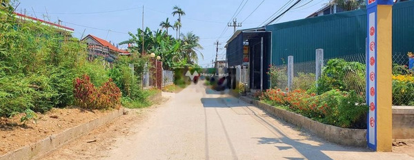 Ở Quảng Điền, Thừa Thiên Huế bán đất 390 triệu có diện tích thực 100m2-02