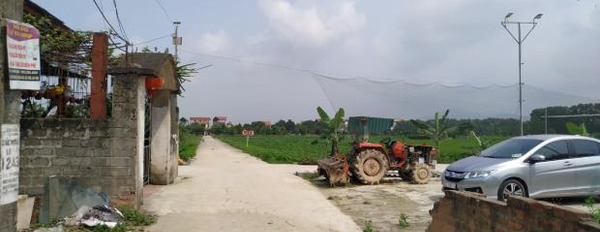 Khoảng 1.1 tỷ bán đất có dt chuẩn 120 m2 vị trí đẹp tại Xã Quang Tiến, Hà Nội-02