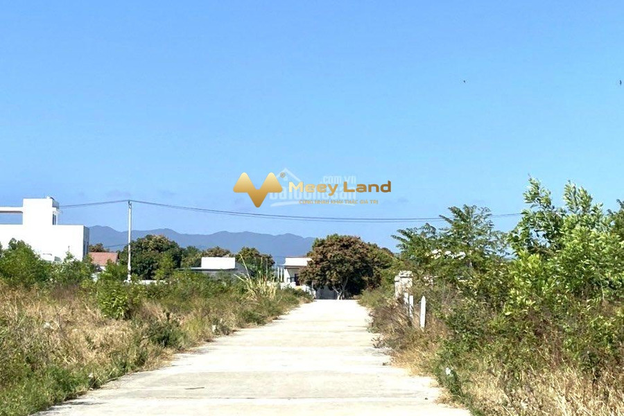 Chính chủ bán mảnh đất 223,7m2, vị trí thuận lợi ngay Đường A2, Huyện Cam Lâm, hướng Đông Nam-01