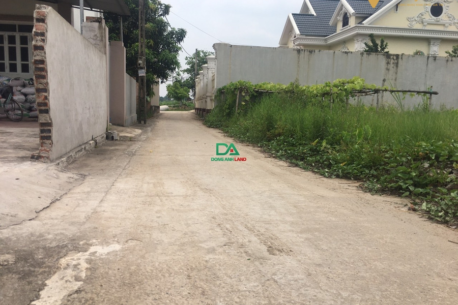 Bán đất giá rẻ 55m2 Đình Trung, Xuân Nộn, Đông Anh, chỉ 1,55 tỷ-01