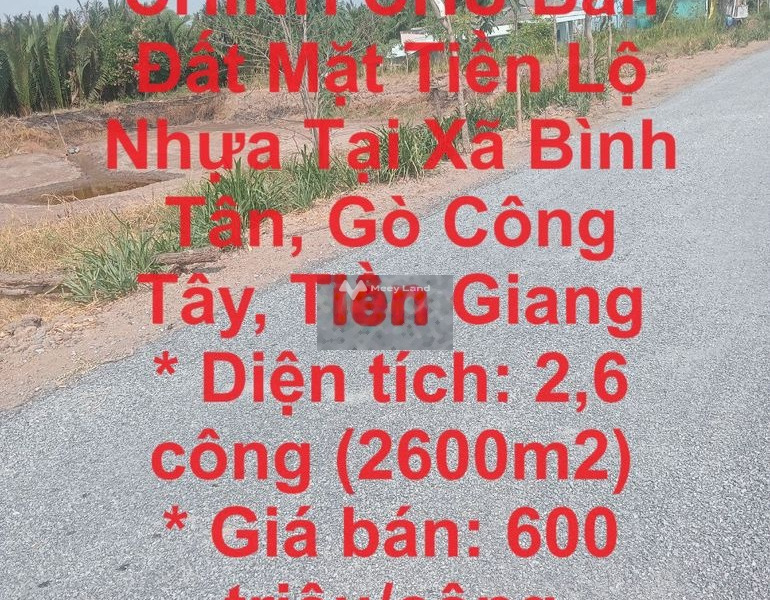 CHỦ Bán Đất Mặt Tiền Lộ Nhựa Tại Xã Bình Tân, Gò Công Tây, Tiền Giang -01