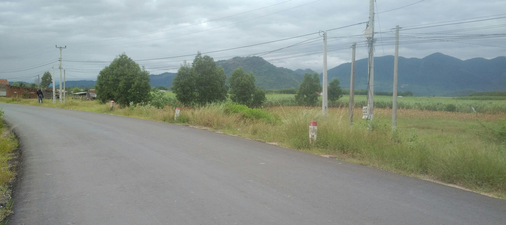 Đất đẹp gần ủy ban Ninh Tân cách Tỉnh lộ 5 100m