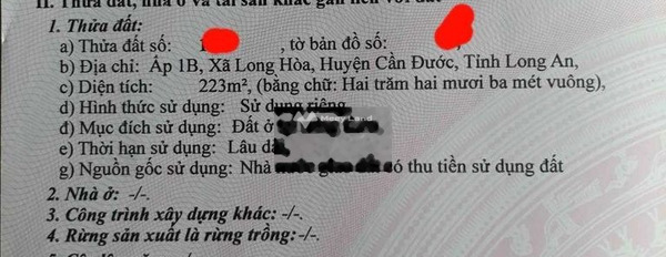 Diện tích đất 223m2 bán đất giá chốt nhanh từ 1.75 tỷ-02