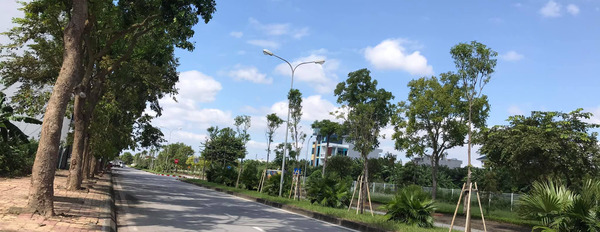 Bán đất mặt đường Phạm Văn Đồng, Thành phố Hải Dương, 69,75m2, mặt tiền 4,5m, đường 30m, vỉa hè 5m-02