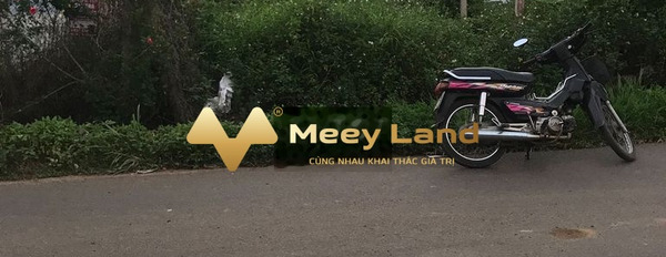 Lam Sơn, Lâm Đồng bán đất giá bán chỉ từ chỉ 5 tỷ có dt 400 m2-03