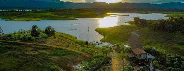 Gia đình cần bán miếng đất hơn 1000m2 tại Lâm Đồng, Sổ hồng riêng -03