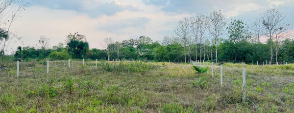 Giá bán vô cùng rẻ 440 triệu, Bán đất có diện tích chung là 1000m2 vị trí đẹp nằm ở Phú Túc, Đồng Nai khu vực đông đúc-02