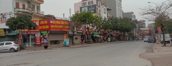 Bán nhà phố Ngô Xuân Quảng, Trâu Quỳ, Gia Lâm diện tích 40m2, mặt tiền 9m, giá 3,1 tỷ-03