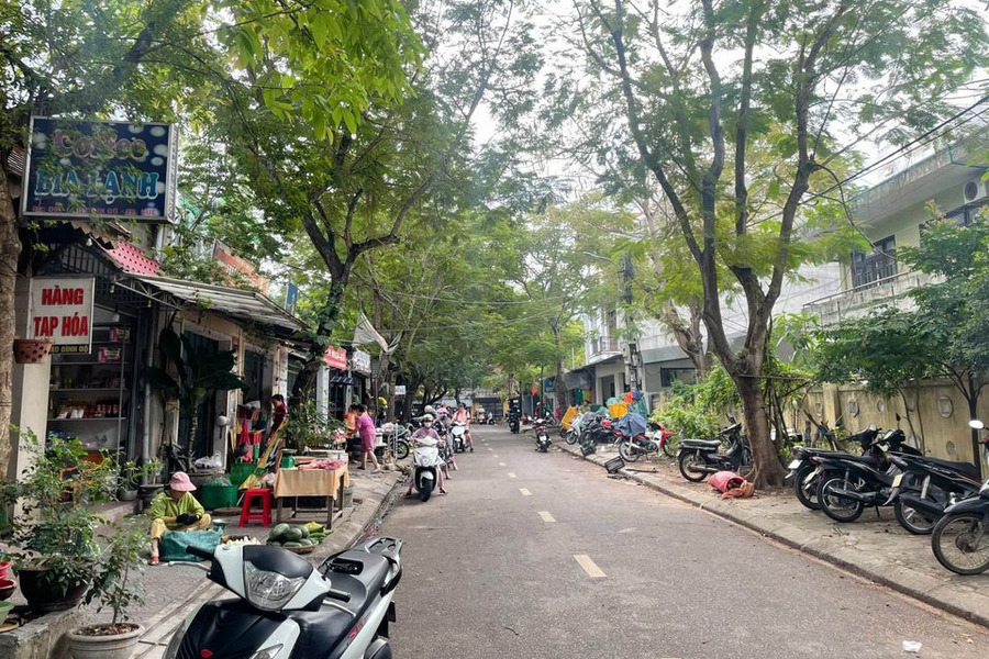 Cần bán đất Thành phố Huế tỉnh Thừa Thiên Huế giá 3 tỷ-01